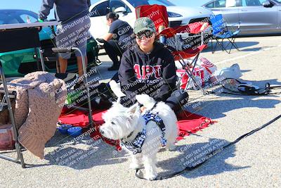 media/Oct-28-2023-Speed Ventures (Sat) [[421672819b]]/Around the Pits/